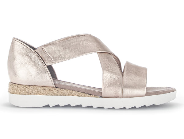 Gabor 22.011.89 - Muschel