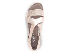 Gabor 22.011.89 in Muschel top view